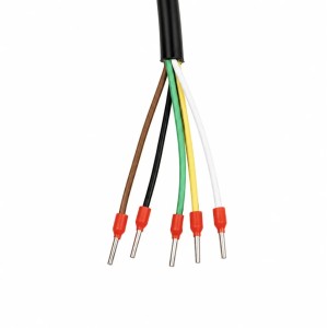 Câble Spiralé Étirable 5 Fils 2M – Câble Souple pour Porte Sectionnelle et Automatismes Industriels