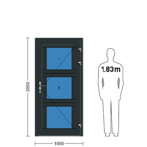 Porte de service industrielle vitrée L 1.10 m x H 2.05 m en aluminium avec double vitrage polycarbonate